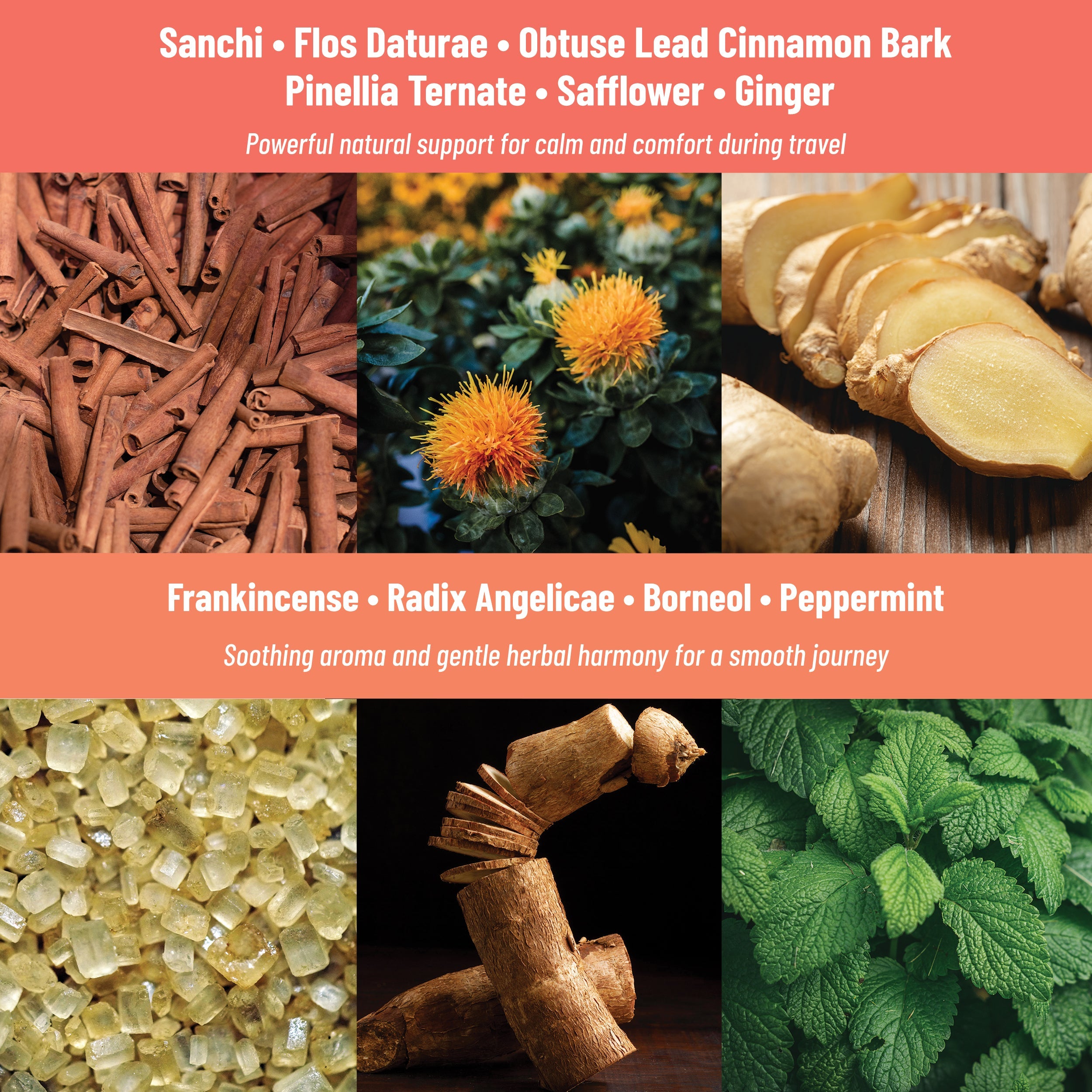 Motion Sickness Patches Natural Motion Sickness Support with Ginger, Peppermint, Sanchi & Herbal Botanicals, 36 patches